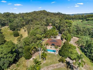 Farm Sold - NSW - Fernvale - 2484 - THE PERFECT HIDEAWAY  (Image 2)