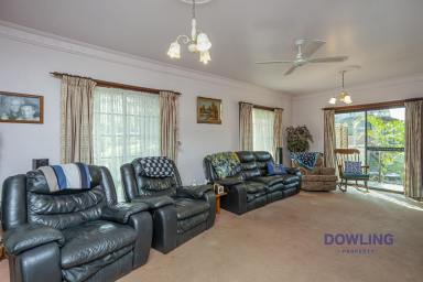 Farm Sold - NSW - Medowie - 2318 - SOMETHING FOR EVERYONE!  (Image 2)