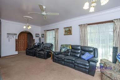 Farm Sold - NSW - Medowie - 2318 - SOMETHING FOR EVERYONE!  (Image 2)