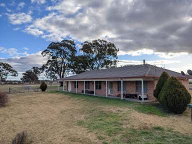 Farm Sold - NSW - Rylstone - 2849 - Great Lifestyle Farm- 163 Narrango Road, Rylstone  (Image 2)