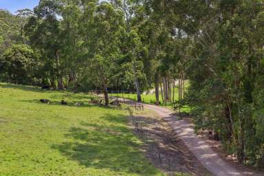 Farm Sold - QLD - North Arm - 4561 - Get Ready To Live The Good Life  (Image 2)