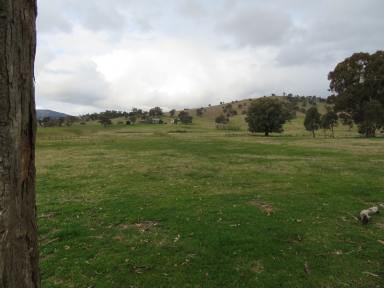 Farm Sold - NSW - Grahamstown - 2729 - Approximately 5 acres in Grahamstown  (Image 2)