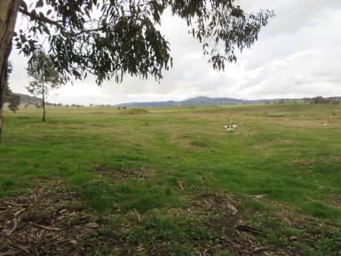 Farm Sold - NSW - Grahamstown - 2729 - Approximately 5 acres in Grahamstown  (Image 2)
