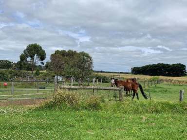 Farm Sold - VIC - Terang - 3264 - 8.50ha WITHIN TOWN BOUNDARY - RARE OPPORTUNITY  -  REDUCED TO SELL  (Image 2)