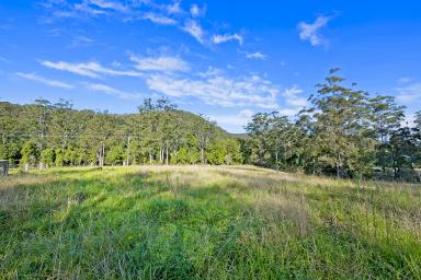 Farm Sold - NSW - Upsalls Creek - 2439 - Acreage Fixer Upper  (Image 2)