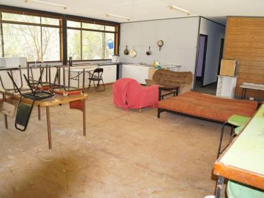 Farm Sold - QLD - Byfield - 4703 - Byfield Rural Life Style retreat like no other  (Image 2)