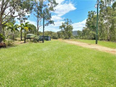 Farm Sold - QLD - Bajool - 4699 - THE PERFECT RURAL STARTER  (Image 2)