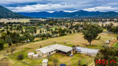 Farm Sold - NSW - Tamworth - 2340 - Every room has a view  (Image 2)