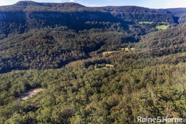 Farm Sold - NSW - Budgong - 2577 - Affordable Bush Acres - Near Kangaroo Valley  (Image 2)