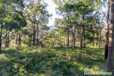 Farm Sold - NSW - Budgong - 2577 - Affordable Bush Acres - Near Kangaroo Valley  (Image 2)