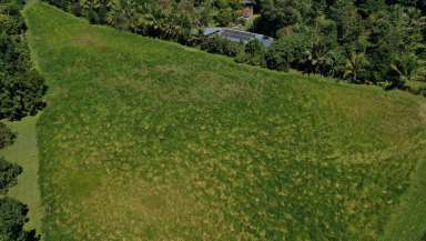 Farm Sold - QLD - Bulgun - 4854 - Beautiful Bulgun Block $195K  (Image 2)