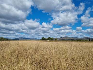 Farm For Sale - QLD - Mutchilba - 4872 - Crop, Orchard or Grazing.  (Image 2)