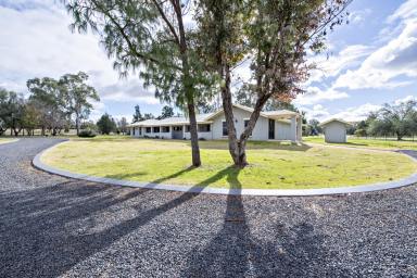 Farm Sold - NSW - Dubbo - 2830 - City Convenience, Country Tranquility  (Image 2)