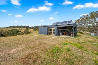 Farm Sold - NSW - Glendon Brook - 2330 - YOUR OWN SLICE OF PARADISE  (Image 2)