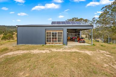 Farm Sold - NSW - Glendon Brook - 2330 - YOUR OWN SLICE OF PARADISE  (Image 2)