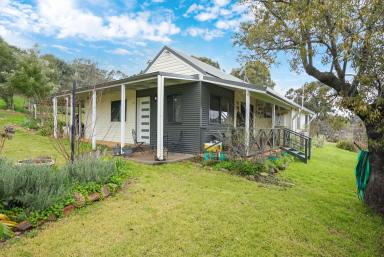 Farm Sold - NSW - Cootamundra - 2590 - REFURBISHED HOME ON 5 ACRES  (Image 2)