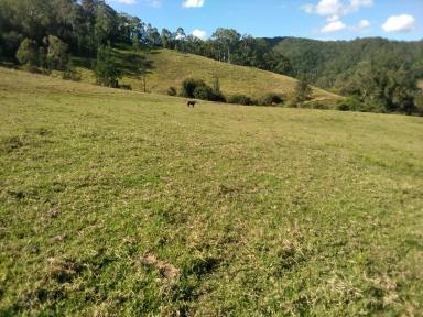 Farm Sold - NSW - Kyogle - 2474 - "LINDESAY VIEW"  (Image 2)