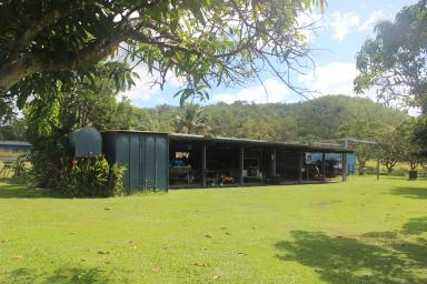 Farm Sold - QLD - Mount Pelion - 4741 - Enjoy acreage lifestyle with an entrepreneurial start for you & your children (sell mangoes by the roadside)  (Image 2)