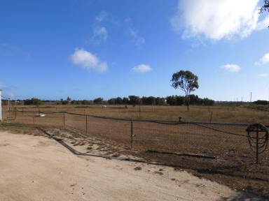 Farm For Sale - QLD - Bowen - 4805 - SO CLOSE TO TOWN  (Image 2)