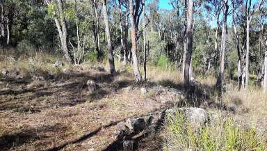 Farm Sold - QLD - Herberton - 4887 - Four thousand sqaure meter block overlooking Herberton  (Image 2)