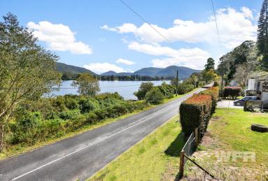 Farm Sold - NSW - Gunderman - 2775 - Build Your Dream Home - Three Elevated Titles With Magestic Views!  (Image 2)