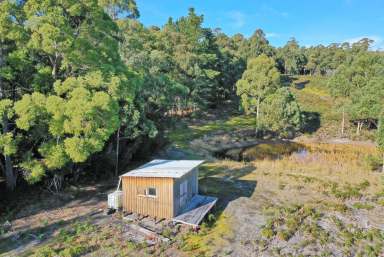 Farm Sold - TAS - Koonya - 7187 - Bush acreage with beautiful water views  (Image 2)