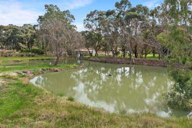 Farm Sold - WA - Stoneville - 6081 - Fulfil Your Fruit Farm Fantasy  (Image 2)