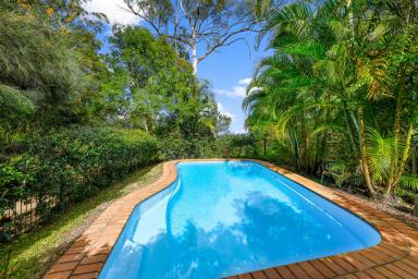 Farm Sold - QLD - Image Flat - 4560 - Private Bushland Sanctuary: Views, Wildlife, Water!  (Image 2)