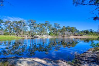 Farm Sold - QLD - Pine Creek - 4670 - LIFESTYLE HIDEWAY ON 9 ACRES BUNDABERG REGION  (Image 2)