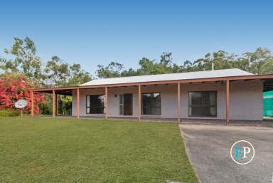 Farm Sold - QLD - Alligator Creek - 4816 - SOLD By Giovanni Spinella  (Image 2)