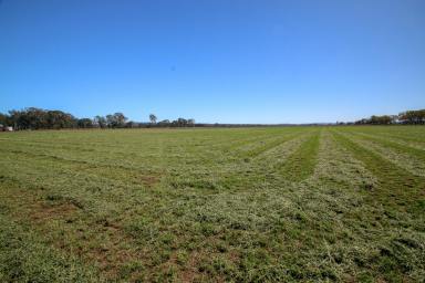 Farm For Sale - QLD - Monto  - 4630 - Irrigation Weaner Depot  (Image 2)
