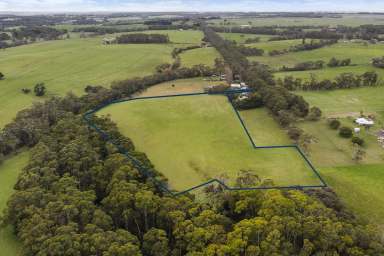 Farm Sold - VIC - Timboon - 3268 - THE PERFECT TREE CHANGE  (Image 2)