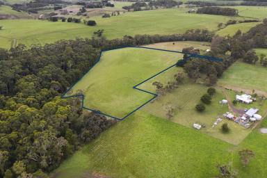 Farm Sold - VIC - Timboon - 3268 - THE PERFECT TREE CHANGE  (Image 2)