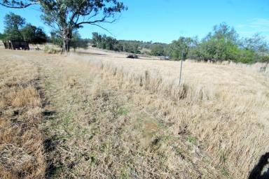 Farm Sold - NSW - Merriwa - 2329 - Peace and Tranquillity!  (Image 2)