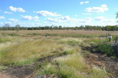 Farm Sold - QLD - Alton Downs - 4702 - Town and Country Life - An Exciting Opportunity for Acreage Lifestyle 7.28ha (approx. 18 acres) Alton Downs  (Image 2)