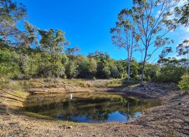Farm Sold - QLD - Rosedale - 4674 - 3 BED + STUDY, 4 DAMS , WHITE ZONE, SHEDS  (Image 2)