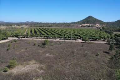 Farm Sold - QLD - Mount Kelly - 4807 - 5.06 Acres - Mount Kelly  (Image 2)