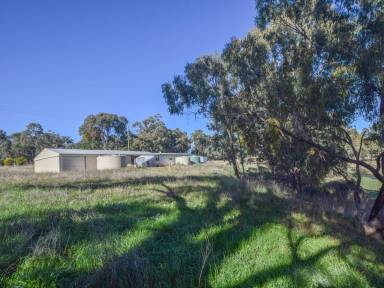 Farm Sold - NSW - Young - 2594 - 3.6acs* With a 2 Bedroom Unapproved Shouse  (Image 2)