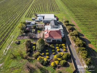 Farm Sold - SA - Whites Valley - 5172 - Quality Vineyard with Family Home on 17.32 acres approx.  (Image 2)