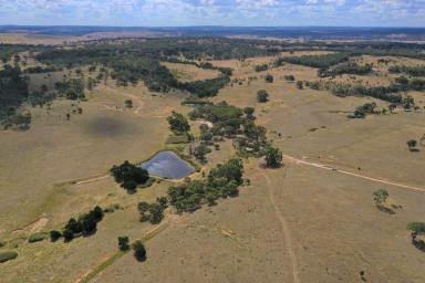 Farm Sold - NSW - Goulburn - 2580 - 419 Acres Close To Goulburn  (Image 2)