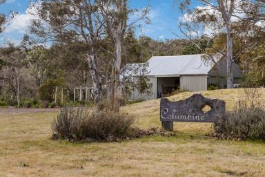 Farm Sold - NSW - Goulburn - 2580 - Escape the Madness  (Image 2)