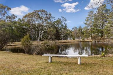 Farm Sold - NSW - Goulburn - 2580 - Escape the Madness  (Image 2)