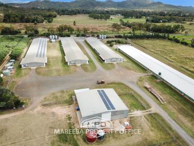Farm For Sale - QLD - Biboohra - 4880 - CONSISTENT INCOME PRODUCING POULTRY FARM  (Image 2)