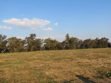 Farm Sold - NSW - Gundagai - 2722 - 11.2 acres on the outskirts of town  (Image 2)