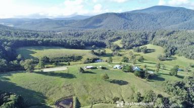 Farm Sold - VIC - Chum Creek - 3777 - Tranquillity on 163 Acres  (Image 2)