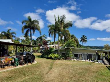 Farm Sold - QLD - Daintree - 4873 - Daintree Riverview Lodges & Van Park - Selling Freehold  (Image 2)