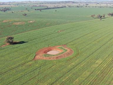 Farm Sold - NSW - Young - 2594 - First Time On The Market In Over 150 Years  (Image 2)