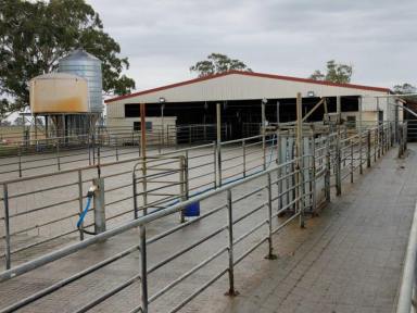 Farm Sold - VIC - Maffra - 3860 - Donahoes  (Image 2)