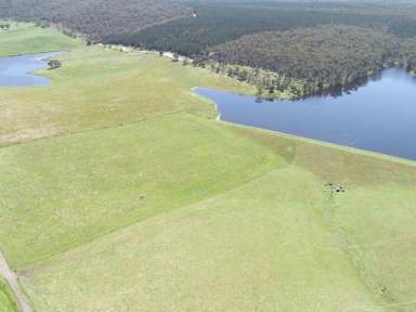 Farm Sold - VIC - Maffra - 3860 - Hill Farm  (Image 2)