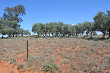 Farm Sold - NSW - Ivanhoe - 2878 - "Needle Bush" Extension via Ivanhoe NSW 2878  (Image 2)